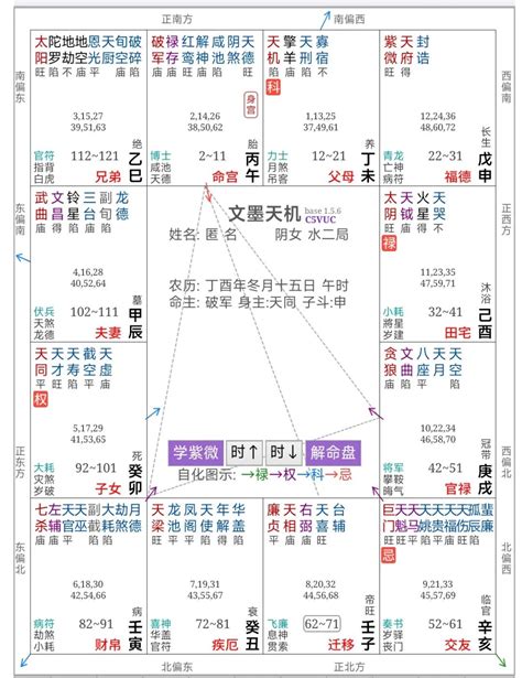 偏房命格|紫微斗数第47课：案例二十一（女命巨日偏格、偏房婚姻、眉毛高。